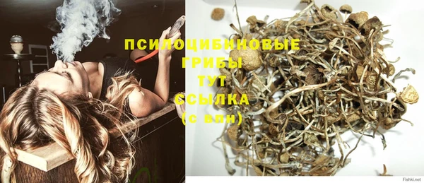 кокс Гусь-Хрустальный