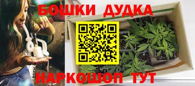 дурь Гай