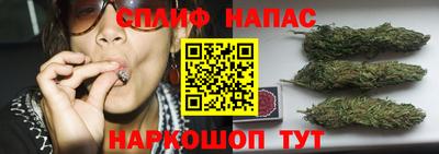 дурь Гай