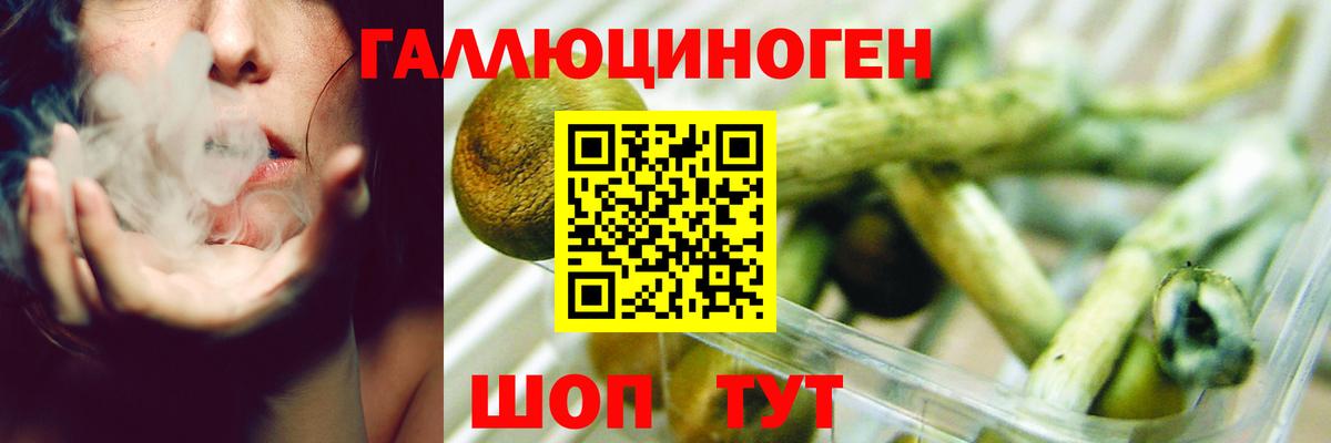 Галлюциногенные грибы прущие грибы Донской