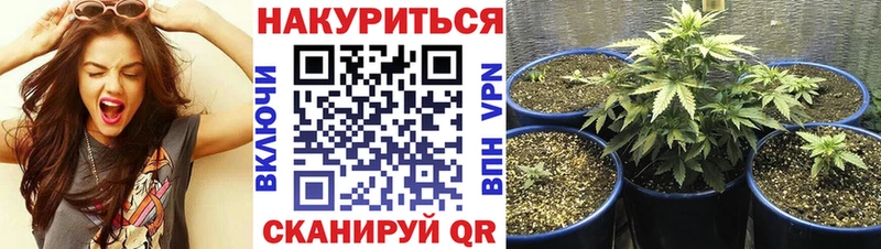 Канабис план  цены наркотик  Донской 